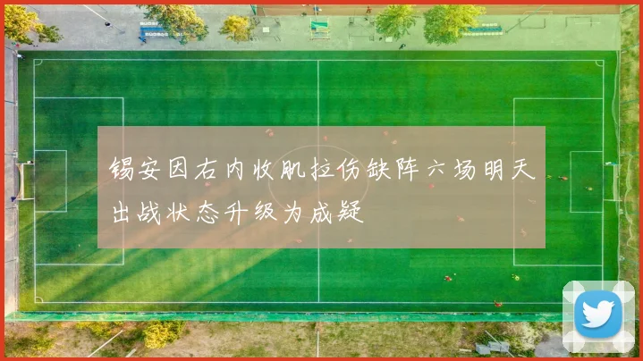 锡安因右内收肌拉伤缺阵六场明天出战状态升级为成疑