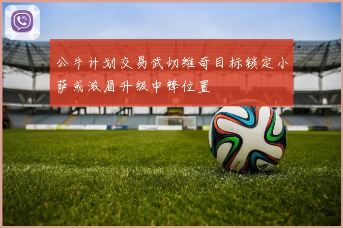 公牛计划交易武切维奇目标锁定小萨或浓眉升级中锋位置