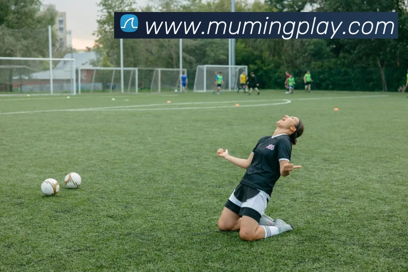 沐鸣娱乐平台生态图