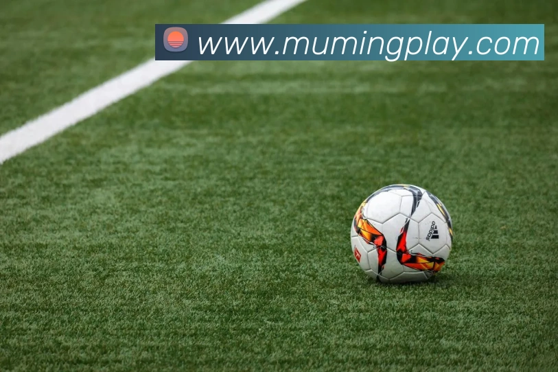 沐鸣娱乐APP 封面图